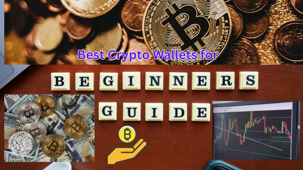 Best Crypto Wallets for Beginners (2025 Guide)